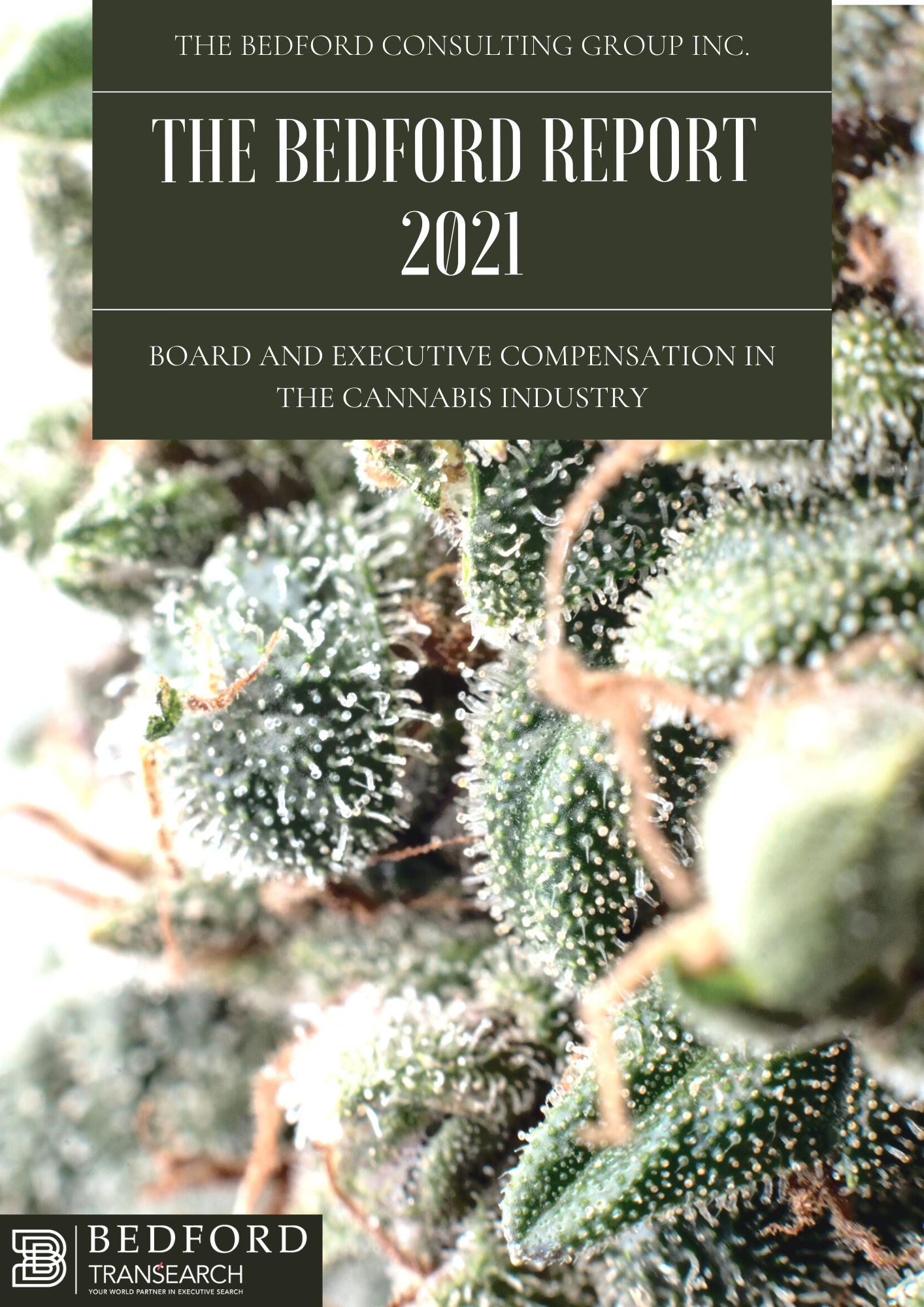 Compensation Report_Cannabis_2021 (2)